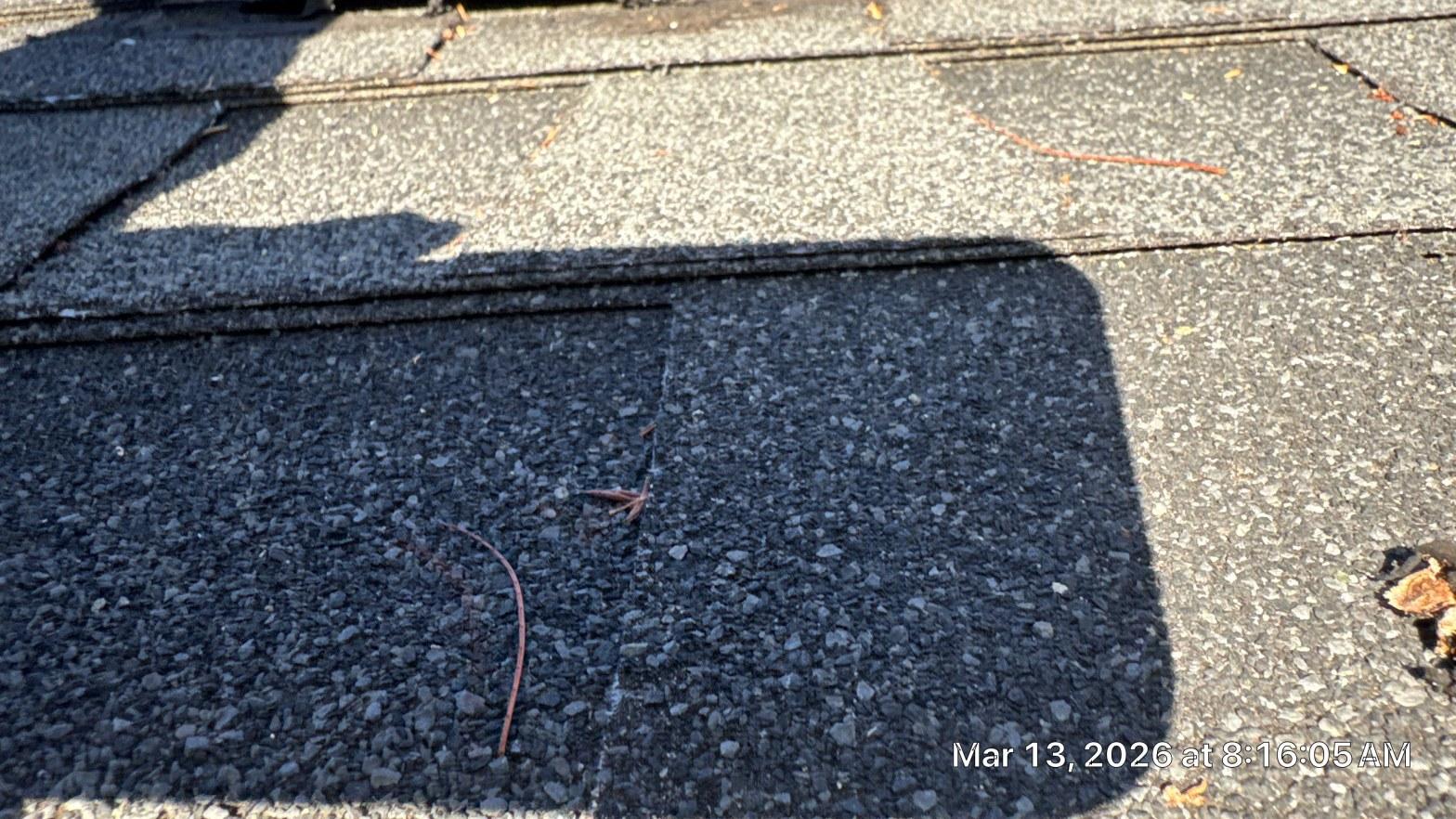 Shingle field around a plumbing vent penetration showing granule displacement and moisture wicking prior to pipe boot replacement