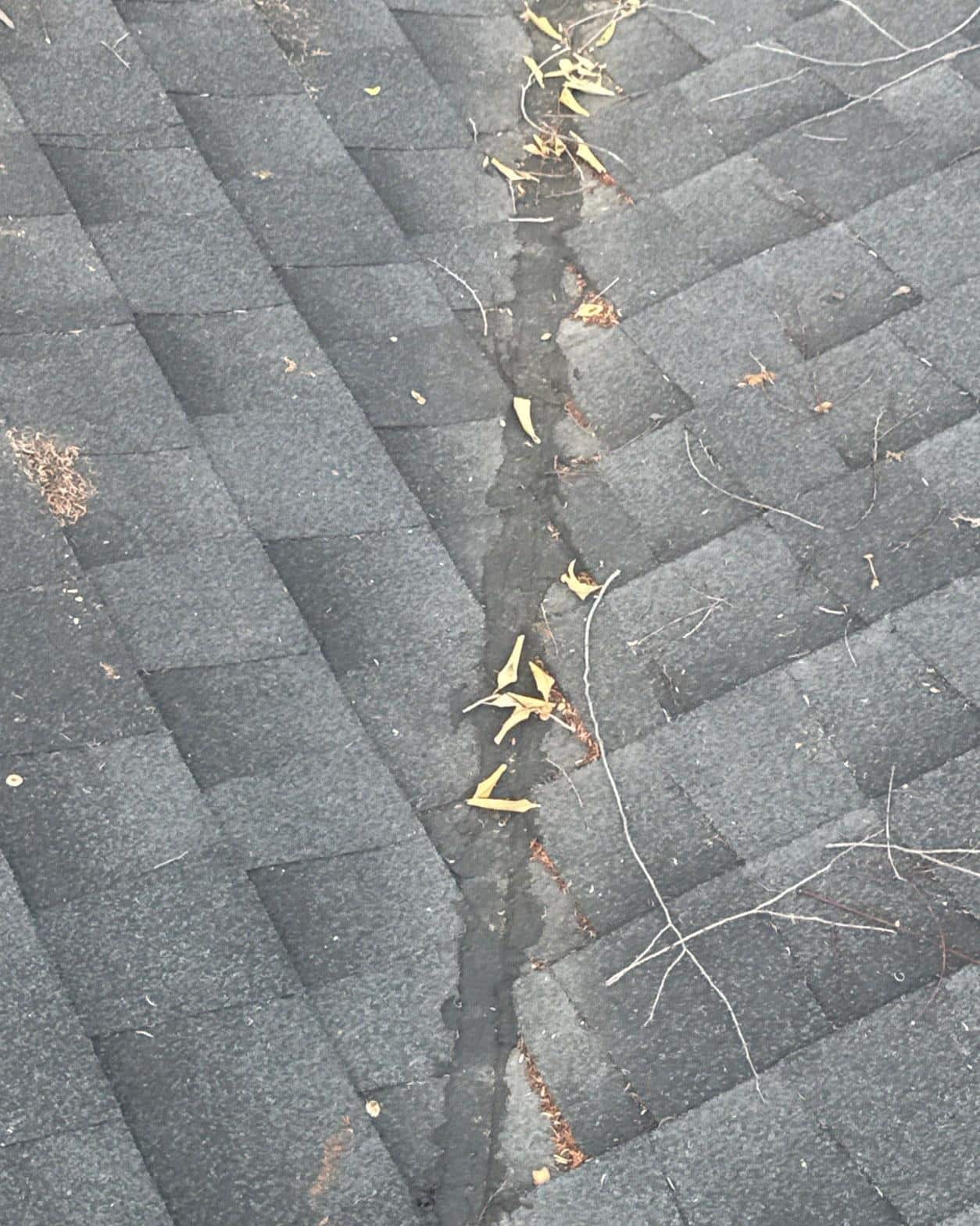 worn-shingle-roof-replaced-around-solar-sherman-oaks-4092